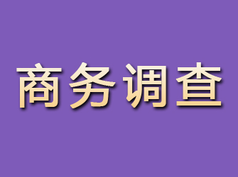 黎平商务调查